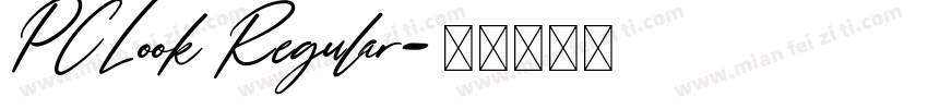 PCLook Regular字体转换